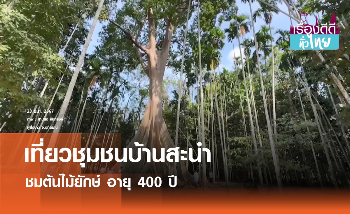 เที่ยวชุมชนบ้านสะนำ ชมต้นไม้ยักษ์ 400 ปี I เรื่องดีดีทั่วไทย 