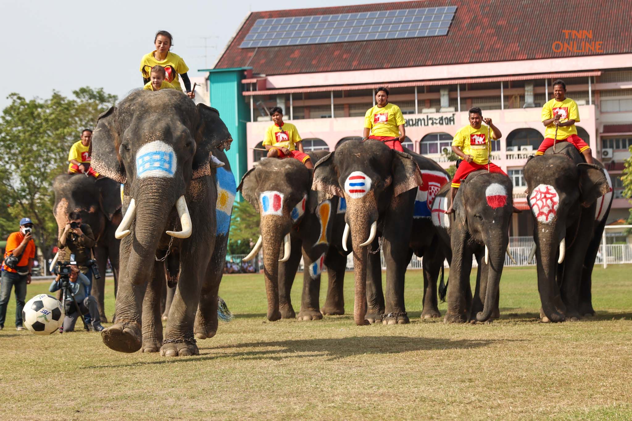 อยุธยาจัด“ช้างเตะบอลกับคน” ร่วมรณรงค์เชียร์บอลโลกไม่เล่นการพนัน