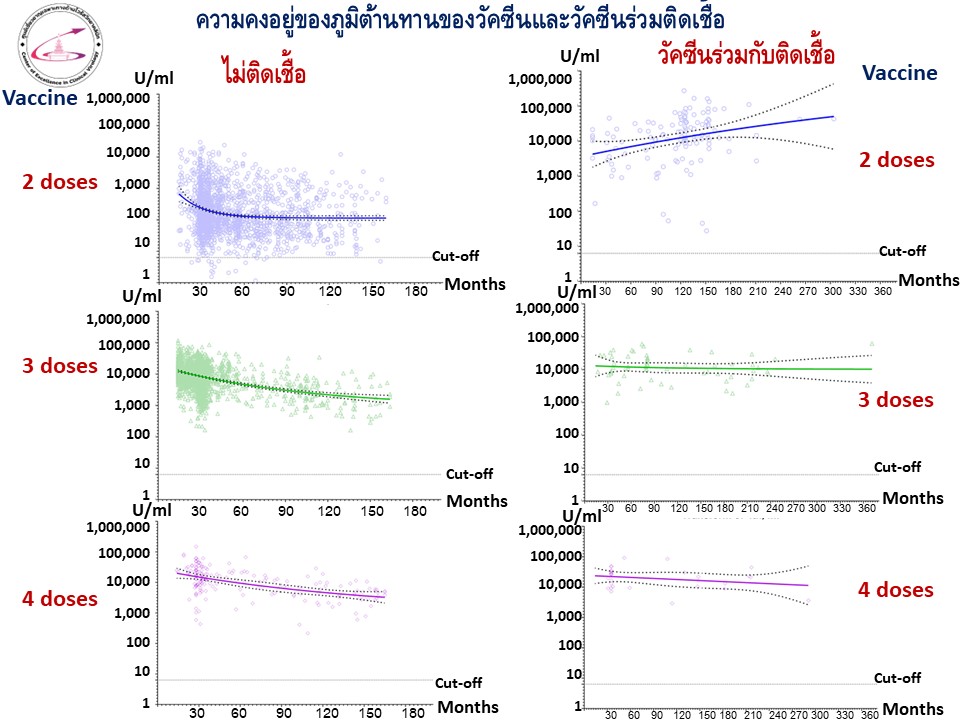 ภูมิต้านทานที่เกิดขึ้นจากการ ติดโควิดร่วมกับวัคซีน จะอยู่แค่ไหน?