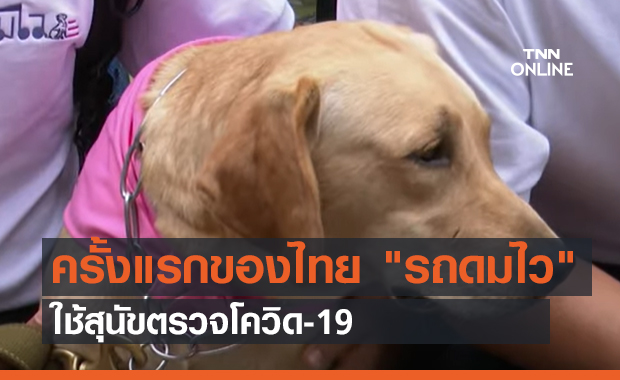 ครั้งแรกของไทย "รถดมไว"ใช้สุนัขตรวจโควิด-19 (คลิป)