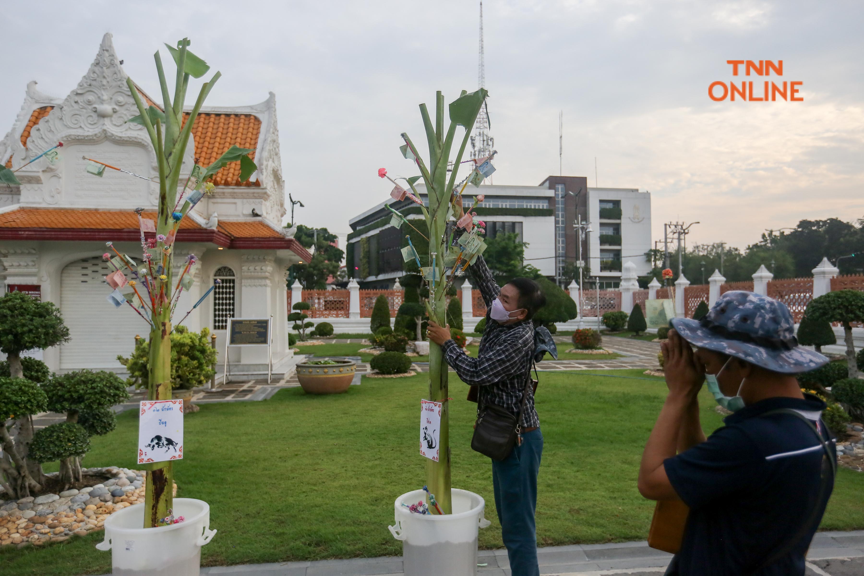 ประมวลภาพ ชาวพุทธพาครอบครัวร่วมตักบาตรวันมาฆบูชา