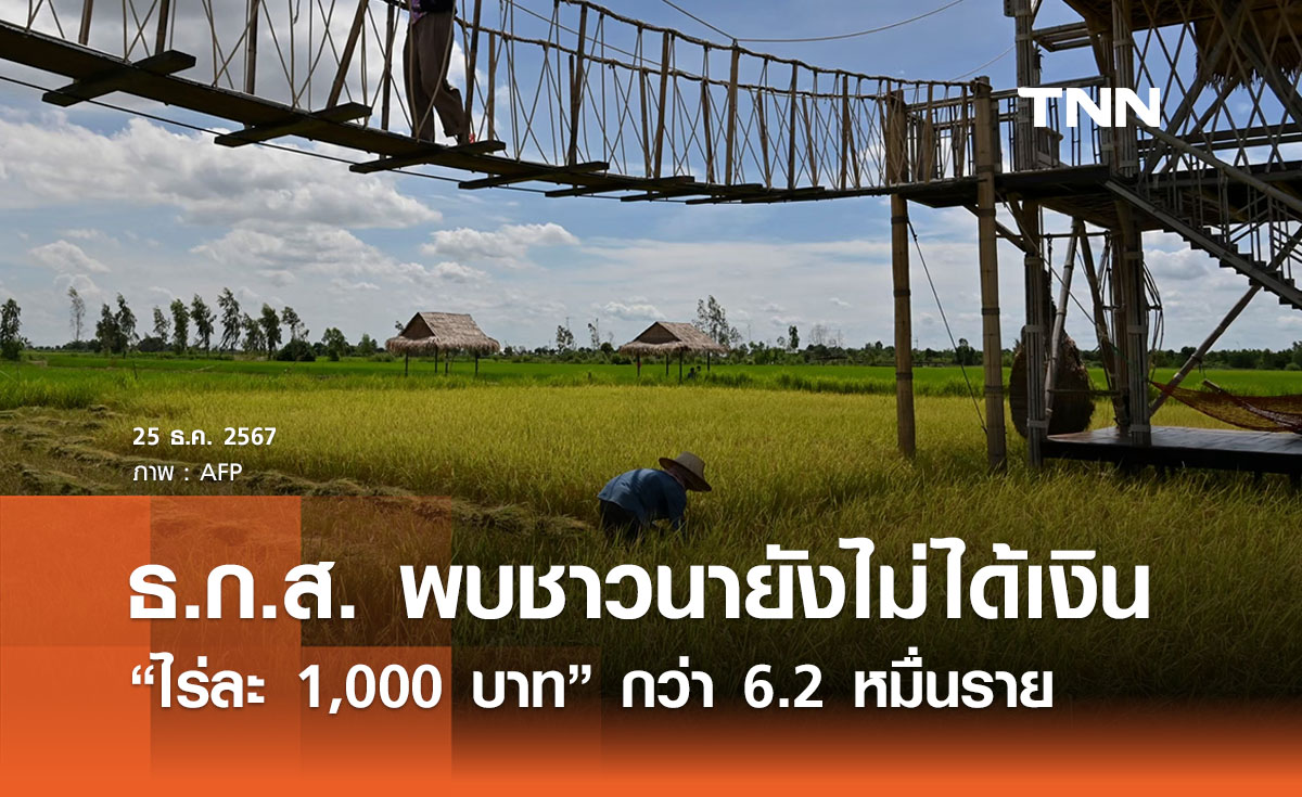 ธ.ก.ส. พบชาวนายังไม่ได้ “เงินไร่ละ 1,000 บาท กว่า 6.2 หมื่นราย