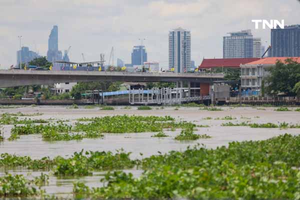 นนทบุรีเสริมกระสอบทราย 130,000 ใบ เตรียมรับมือน้ำเหนือล้นแนวกั้นริมเจ้าพระยา