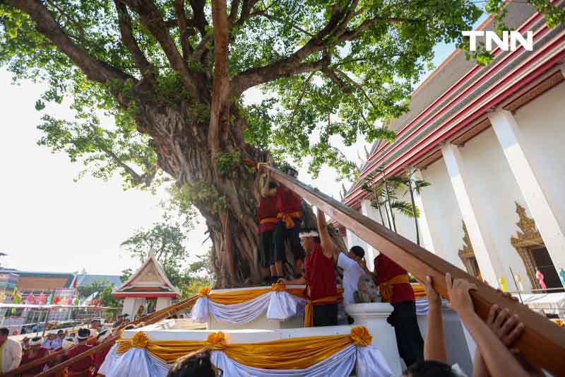 พิธีแห่ไม้คำโพธิ์หลวง เฉลิมพระเกียรติ เนื่องในพระราชพิธีสมมงคล 2568