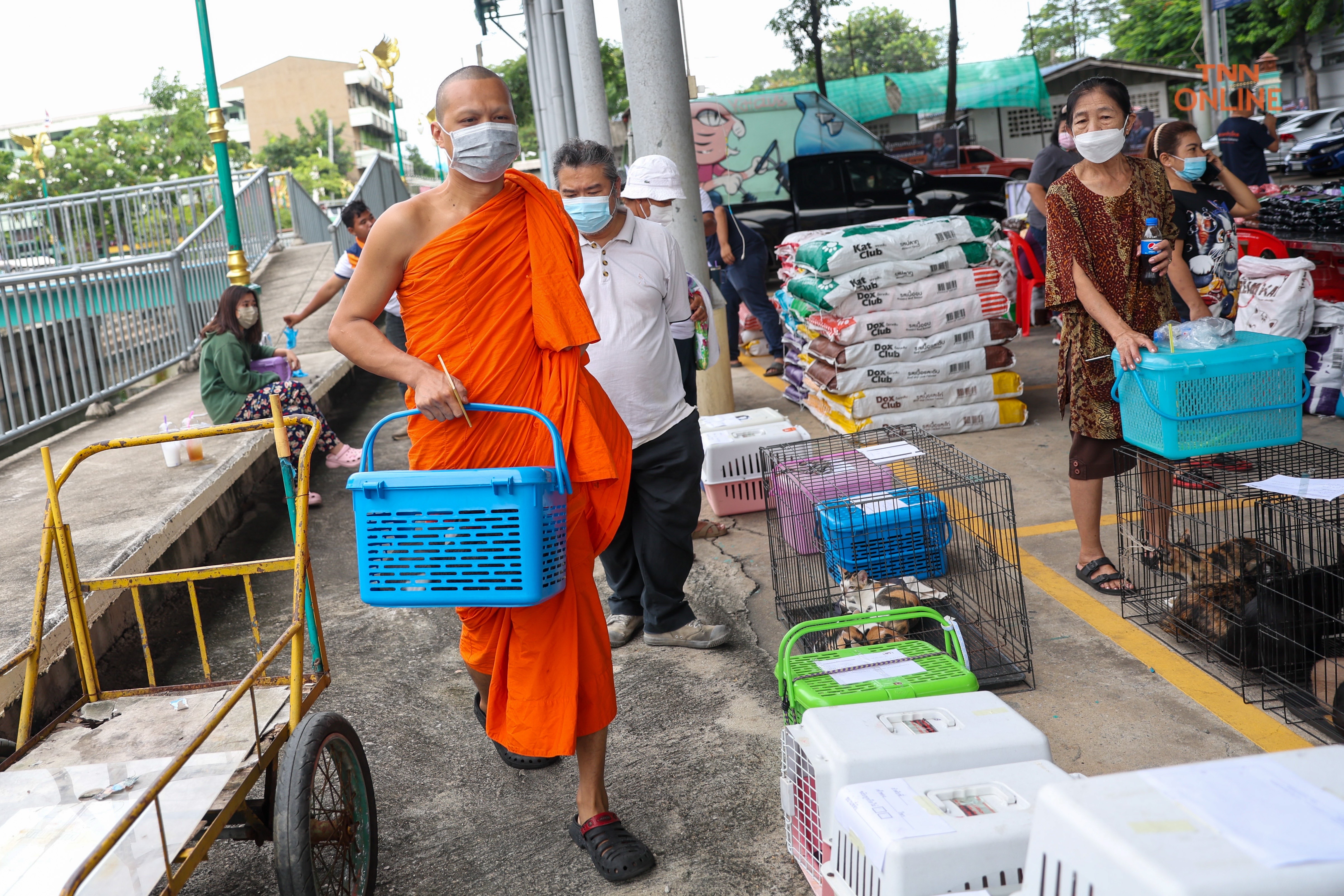 ทำหมันฟรีสุนัขและแมวควบคุมประชากรพร้อมจัดสวัสดิภาพสัตว์ 