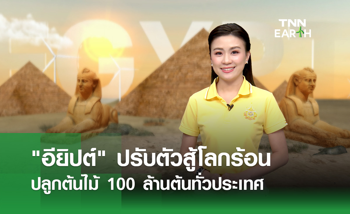 “อียิปต์” ปรับตัวสู้โลกร้อน ปลูกต้นไม้ 100 ล้านต้นทั่วประเทศ