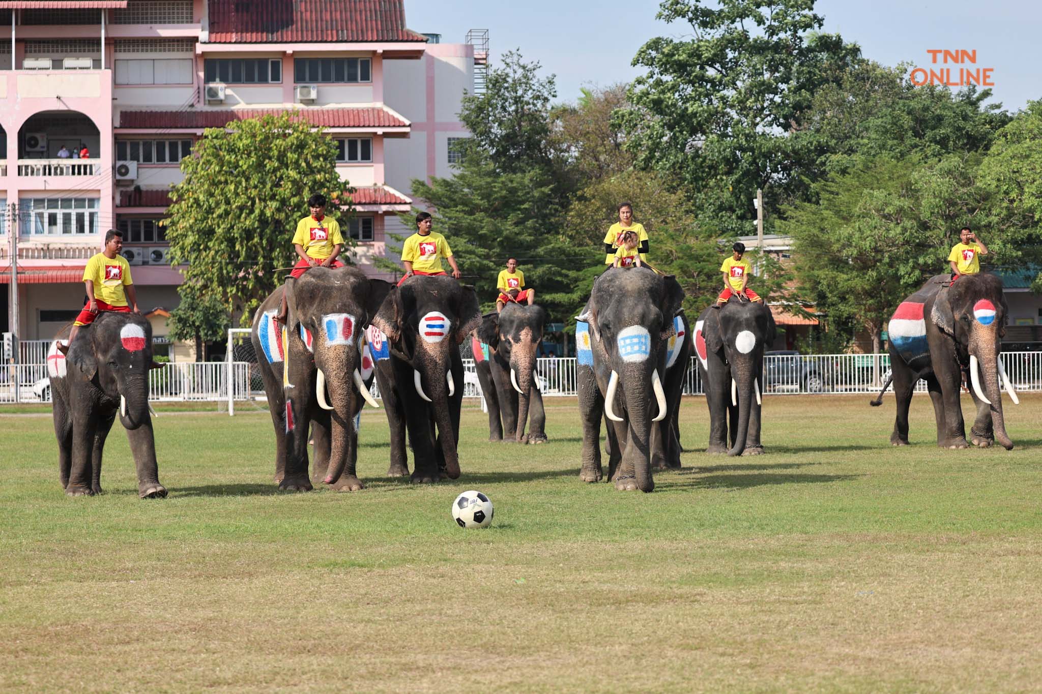 อยุธยาจัด“ช้างเตะบอลกับคน” ร่วมรณรงค์เชียร์บอลโลกไม่เล่นการพนัน