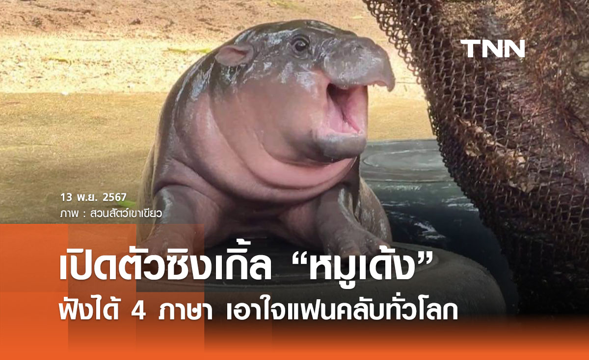 “น้องหมูเด้ง” ศิลปินสาวท่านหนึ่ง ออกซิงเกิ้ล 4 ภาษาทั่วโลก เอาใจแฟนคลับ 