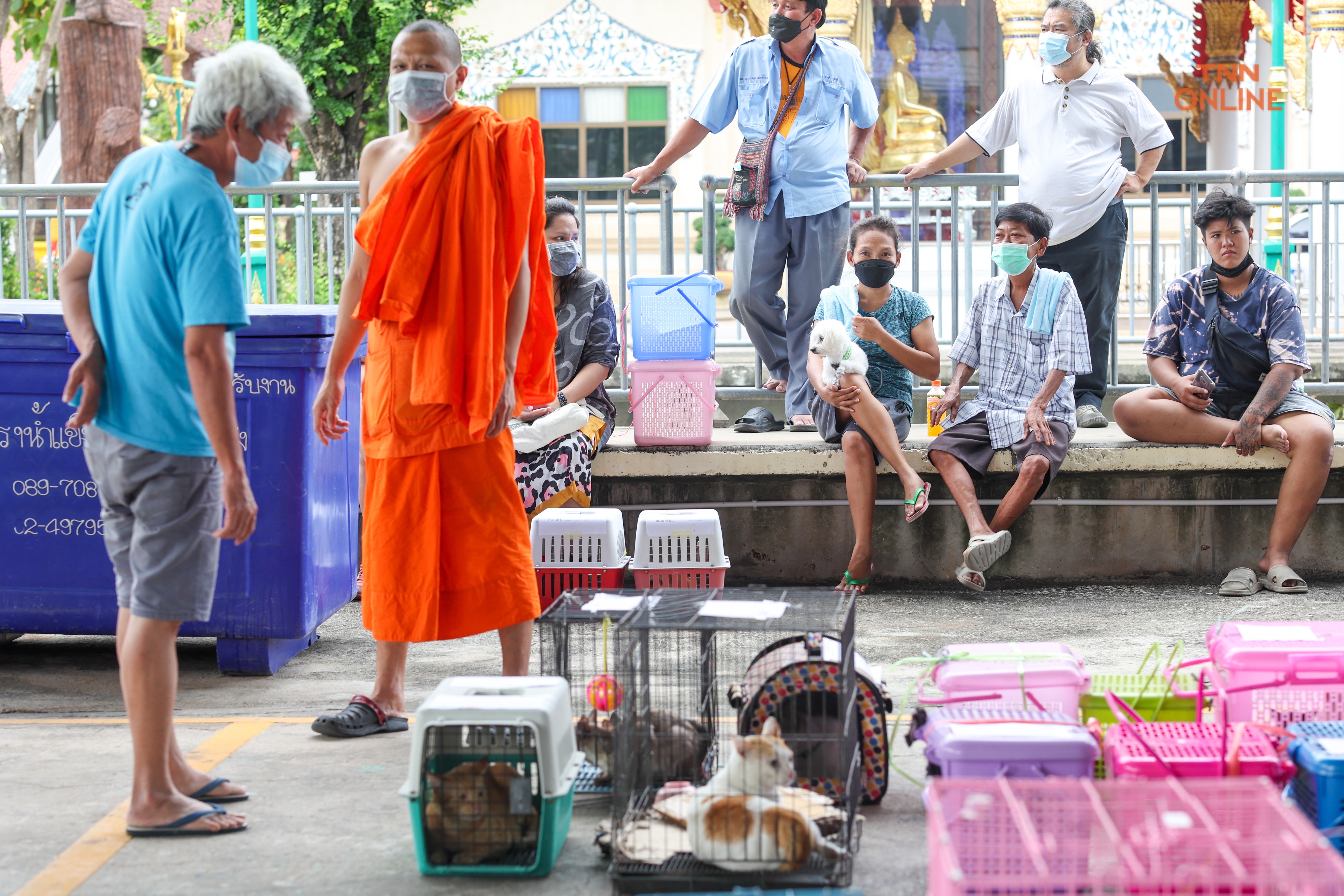 ทำหมันฟรีสุนัขและแมวควบคุมประชากรพร้อมจัดสวัสดิภาพสัตว์ 