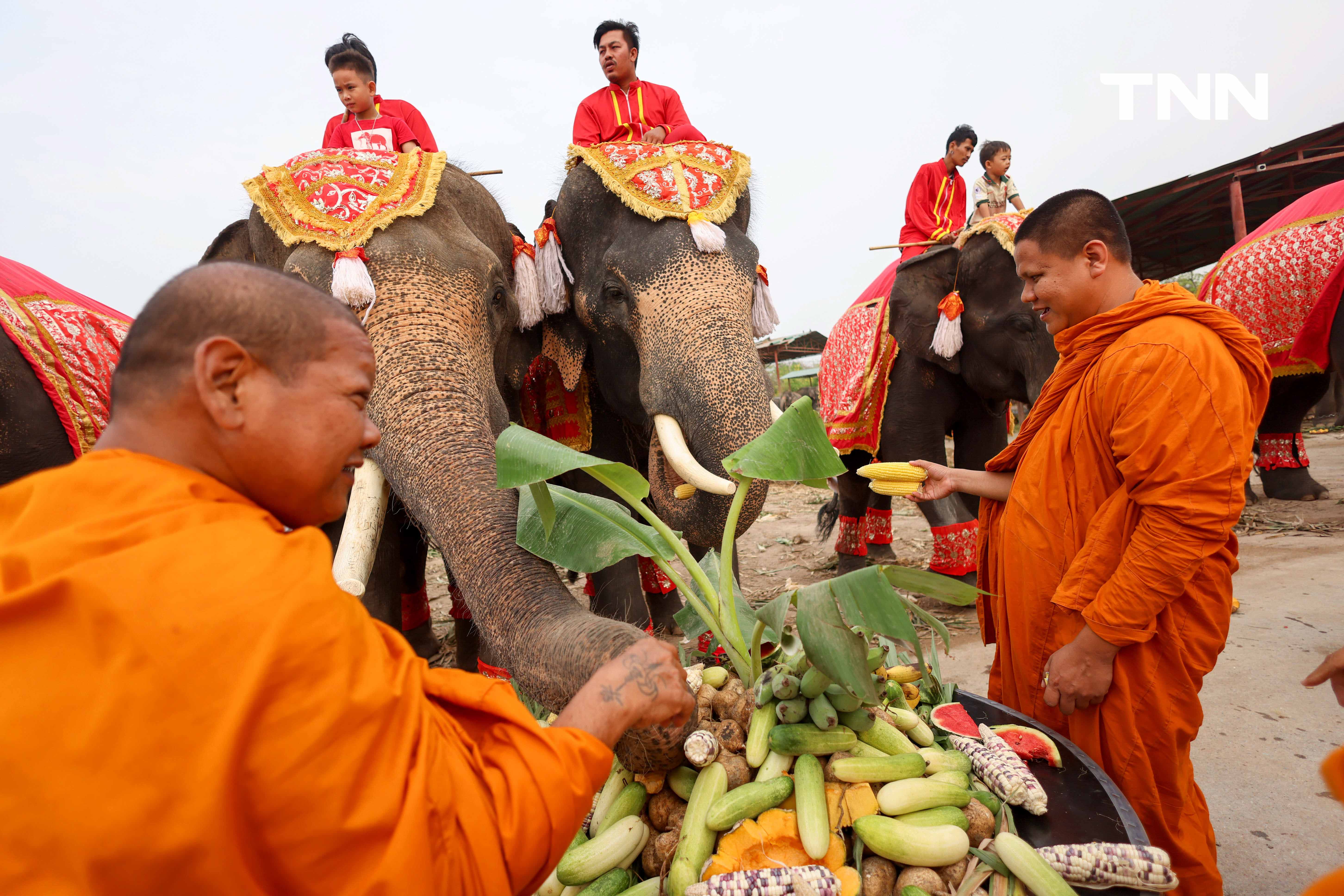 “วันช้างไทย” แลเพนียด ทำบุญ-เลี้ยงอาหารช้าง เพื่อเป็นสิริมงคล