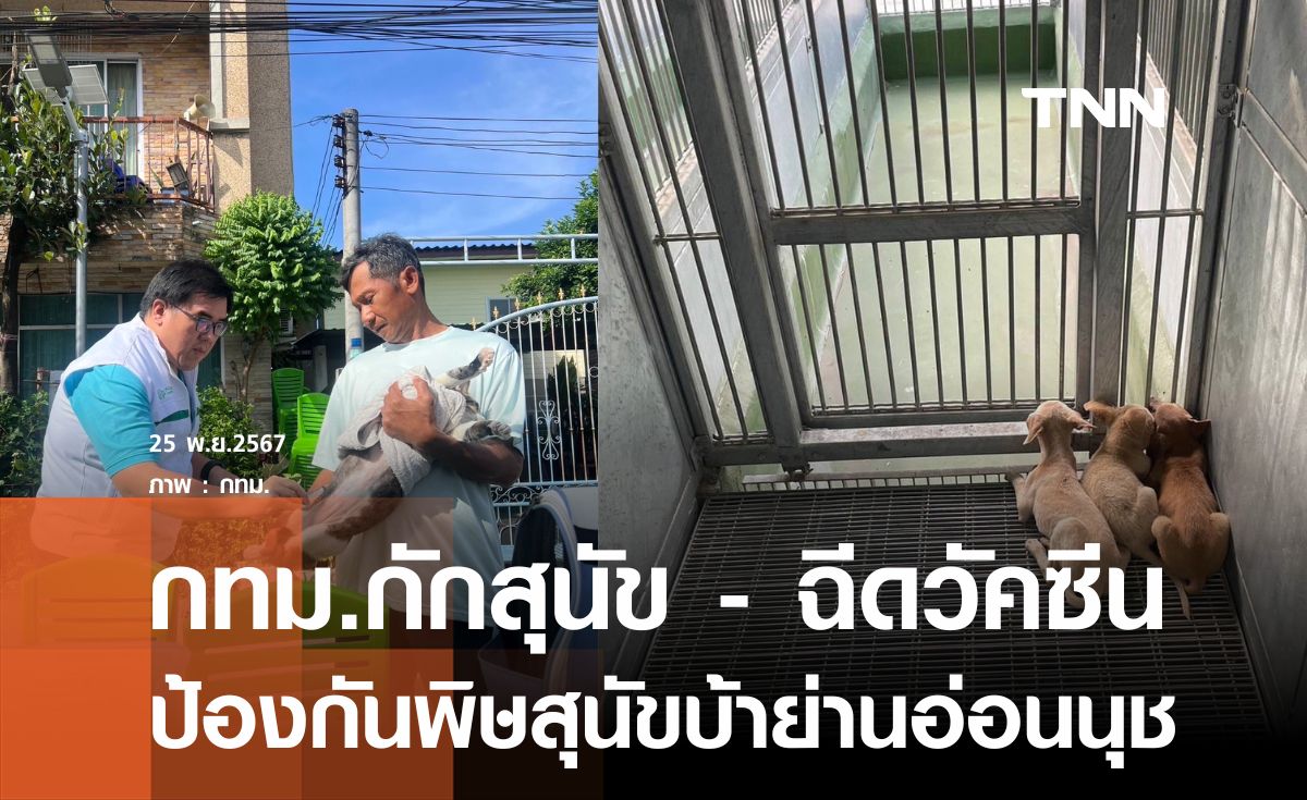 กทม.กักสุนัขจร 51 ชีวิต ป้องกันโรคพิษสุนัขบ้าย่านอ่อนนุช