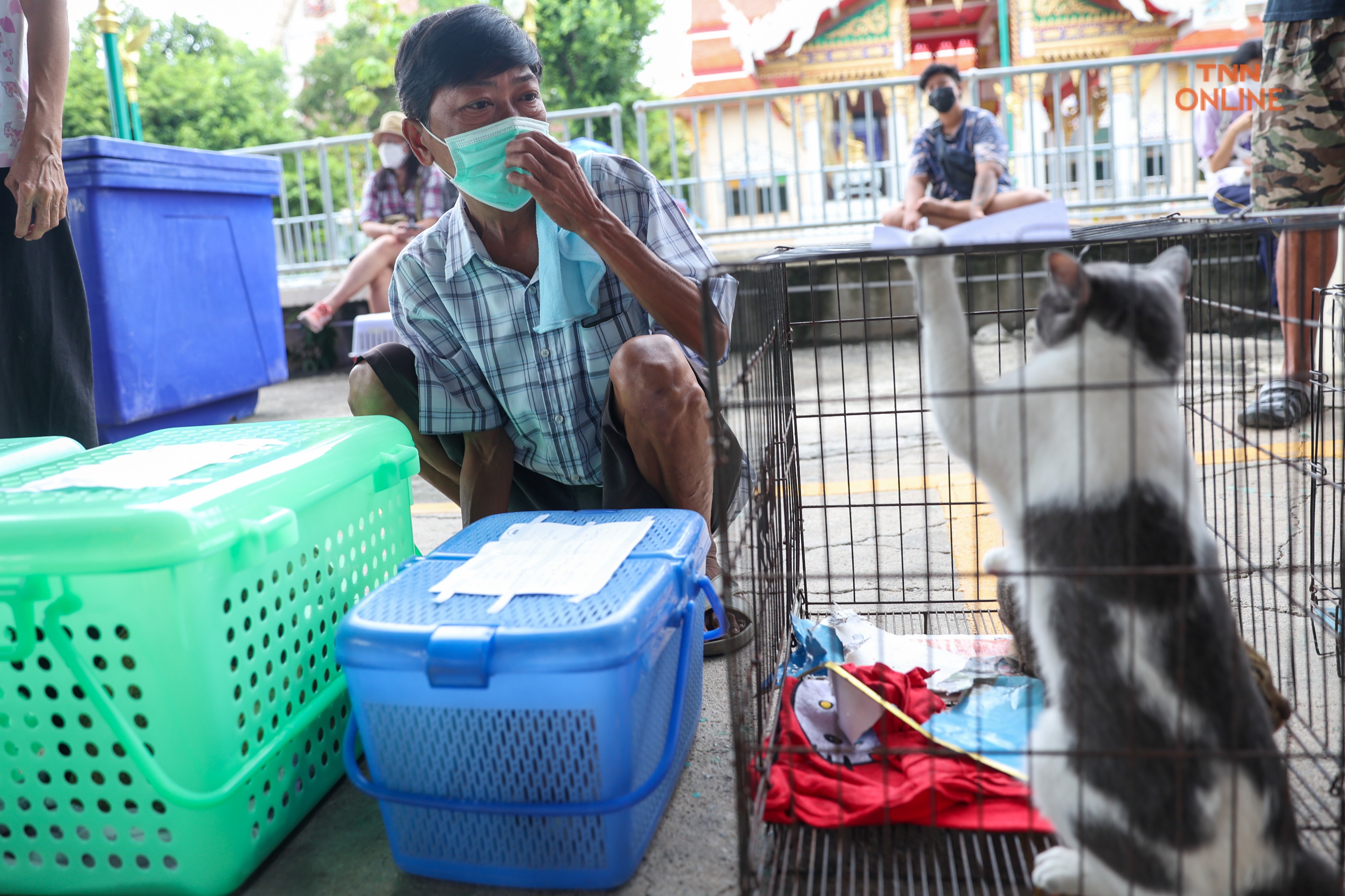 ทำหมันฟรีสุนัขและแมวควบคุมประชากรพร้อมจัดสวัสดิภาพสัตว์ 