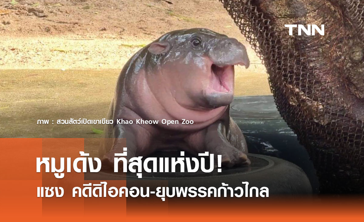 หมูเด้ง ที่สุดแห่งปี! แซง คดีดิไอคอน-ยุบพรรคก้าวไกล