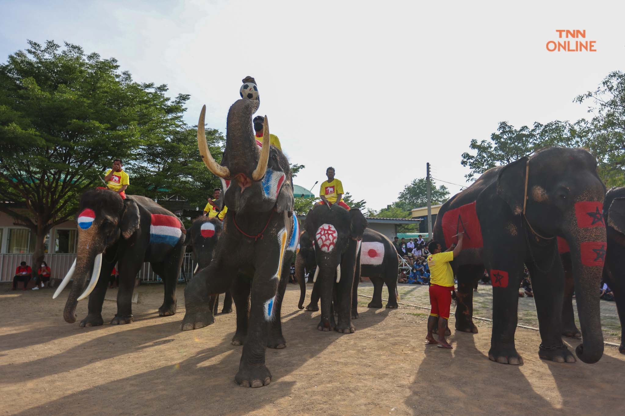 อยุธยาจัด“ช้างเตะบอลกับคน” ร่วมรณรงค์เชียร์บอลโลกไม่เล่นการพนัน