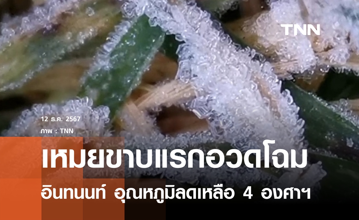 อินทนนท์ 4 องศาฯ เหมยขาบแรกอวดโฉม