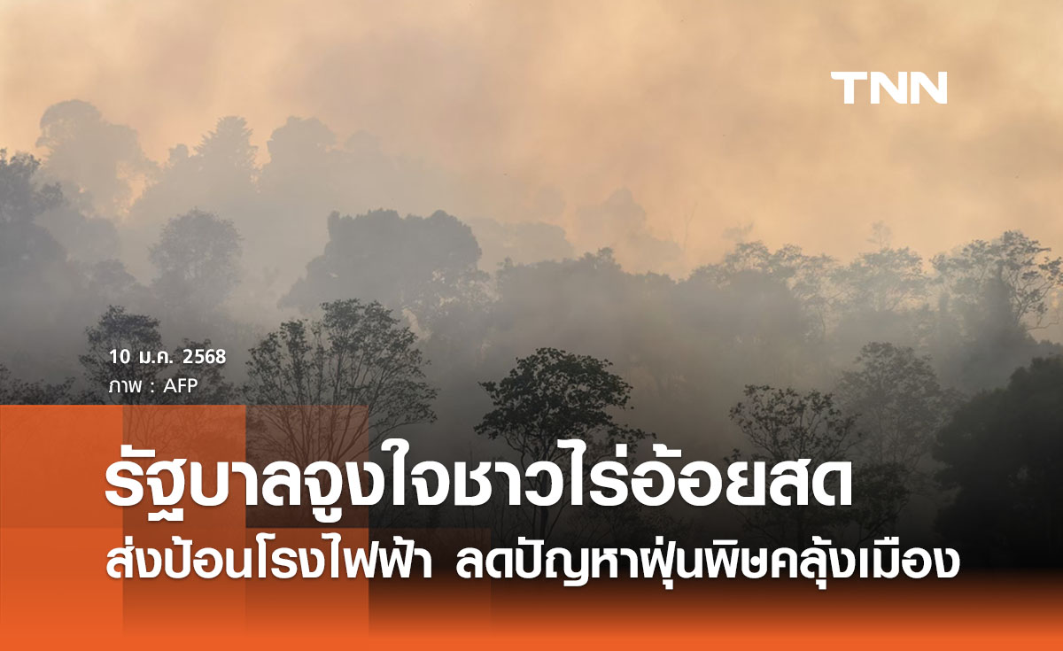 รัฐบาลจูงใจชาวไร่ตัดอ้อยสดป้อนโรงไฟฟ้า ลดปัญหา ฝุ่น PM 2.5