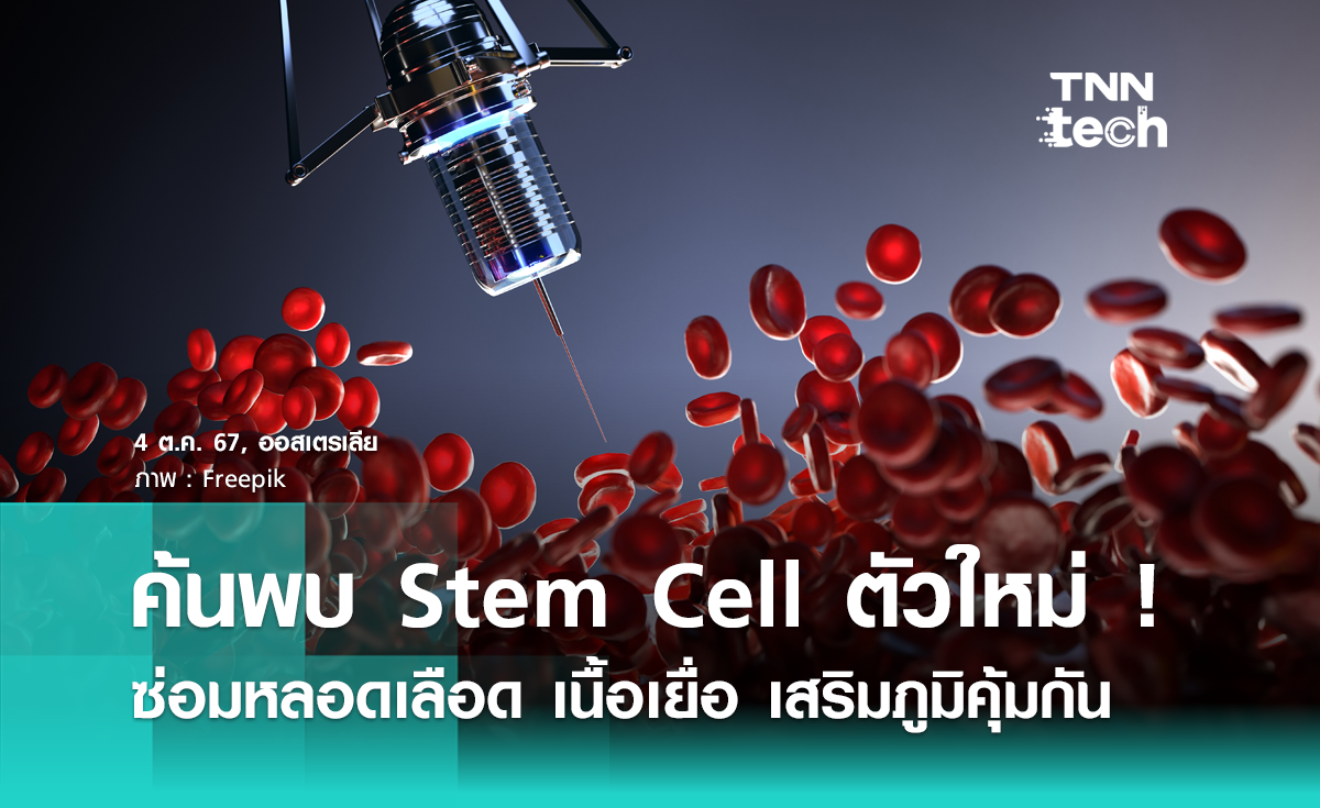 ค้นพบ Stem Cell ตัวใหม่ ! ซ่อมหลอดเลือด เนื้อเยื่อ เสริมภูมิคุ้มกัน