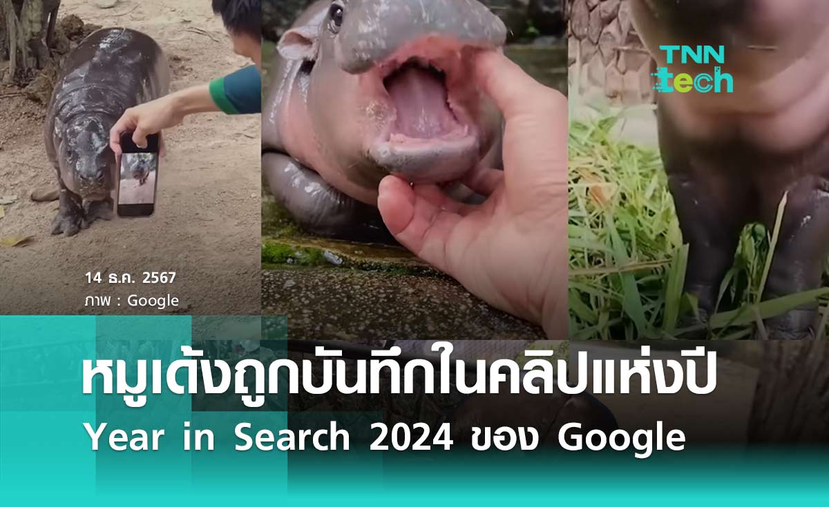 หมูเด้งถูกบันทึกในคลิปแห่งปี Year in Search 2024 ของ Google