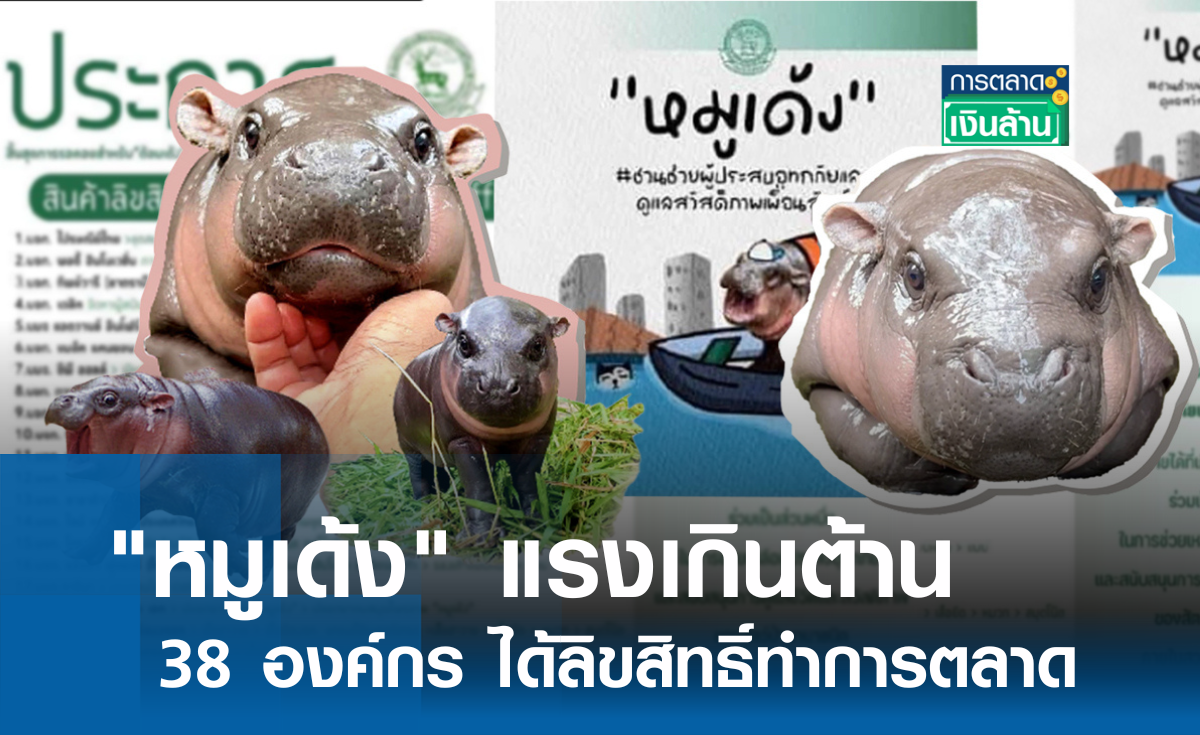 '38 องค์กร' ได้ลิขสิทธิ์ 'หมูเด้ง' l การตลาดเงินล้าน