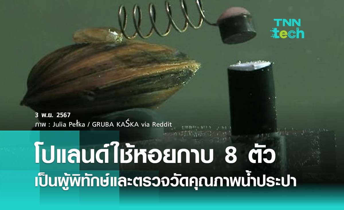 โปแลนด์ใช้หอยกาบ 8 ตัว เป็นผู้พิทักษ์และตรวจวัดคุณภาพน้ำประปา