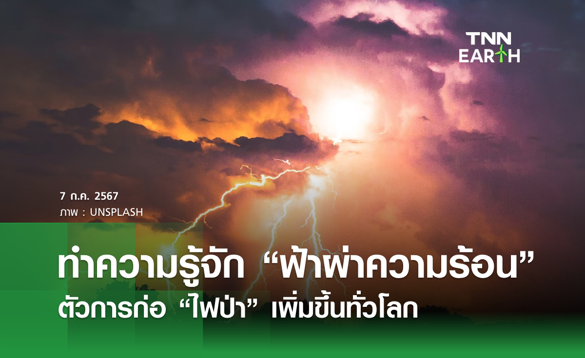 ทำความรู้จัก "ฟ้าผ่าความร้อน" ตัวการก่อ "ไฟป่า" เพิ่มขึ้นทั่วโลก