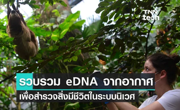 รวบรวม eDNA จากอากาศ วิธีการใหม่เพื่อสำรวจสิ่งมีชีวิตในระบบนิเวศ