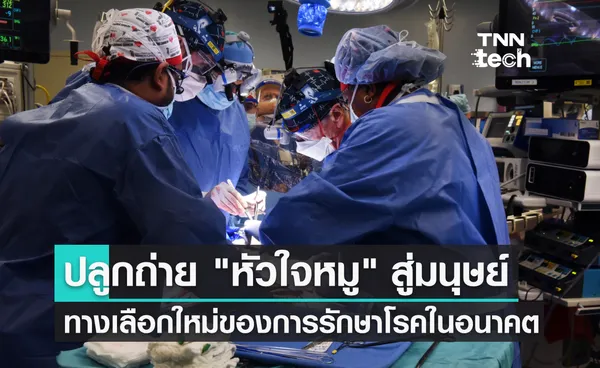 ศัลยแพทย์สหรัฐฯ ปลูกถ่าย หัวใจหมู ในร่างกายมนุษย์ได้สำเร็จเป็นครั้งแรกของโลก !!