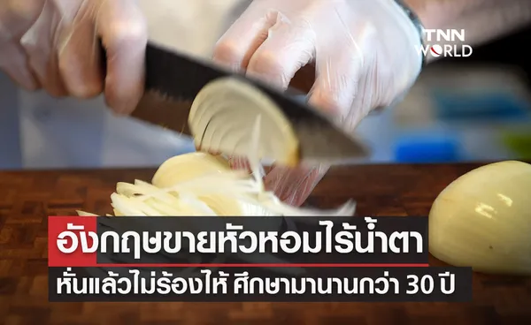 ข่าวดีของแม่บ้าน! อังกฤษเตรียมขาย หัวหอมพันธุ์ใหม่ไร้น้ำตา