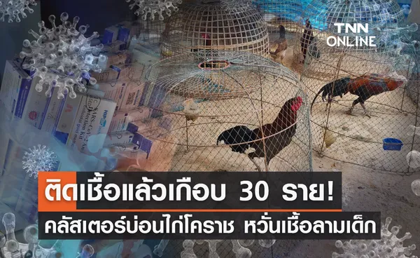 จับตา! คลัสเตอร์บ่อนไก่โคราช พบติดเชื้อ 30 ราย หวั่นเชื้อลามเด็ก 