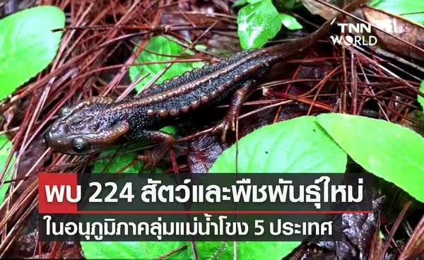  WWF พบ 224 สัตว์และพืชพันธ์ุใหม่ ในอนุภูมิภาคลุ่มน้ำโขง 5 ประเทศ