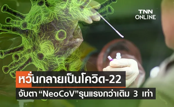 จับตา! 'NeoCoV' รุนแรงกว่าเดิม 3 เท่า ชี้อาจเป็นโควิด 22