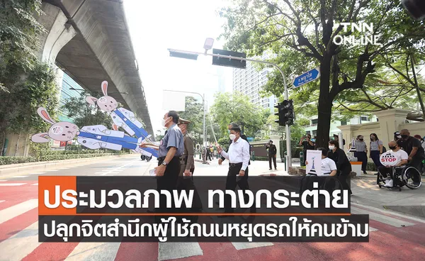 ประมวลภาพ “ทาง​​​​กระต่าย” ปลุกจิตสำนึกผู้ใช้ถนนหยุดรถให้คนข้ามทางม้าลาย