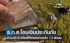 ธ.ก.ส. โอนเงินประกันภัยข้าวนาปีและข้าวโพดเลี้ยงสัตว์ให้เกษตรกรแล้ว  1.5 พันล้านบาท