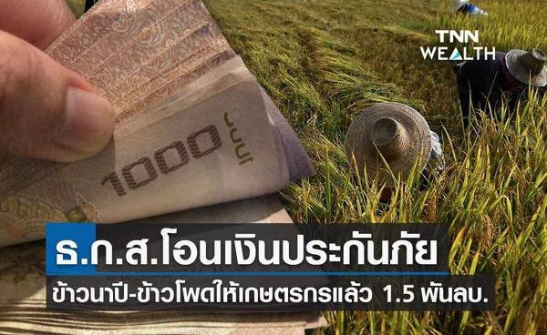 ธ.ก.ส. โอนเงินประกันภัยข้าวนาปีและข้าวโพดเลี้ยงสัตว์ให้เกษตรกรแล้ว  1.5 พันล้านบาท