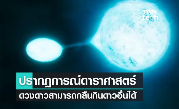 วงการดาราศาสตร์พบเรื่องน่าขนลุก ดวงดาวสามารถกลืนกินดาวชนิดอื่นๆ ได้