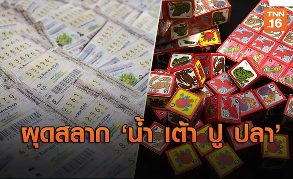 กองสลากฯเตรียมผุดหวยแบบ 'น้ำเต้า ปู ปลา'