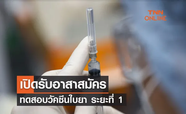 เปิดรับอาสาสมัครทดสอบวัคซีนใบยา ระยะ 1 สูตรปรับปรุงใหม่รับเชื้อโควิดกลายพันธุ์