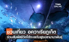 ชวนเที่ยว Aquaria Phuket ร่วมสัมผัสชีวิตฝูงปลานานาพันธ์ุพร้อมดำดิ่งสู่โลกใต้ทะเล