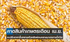 ศูนย์วิจัย ธ.ก.ส. คาดราคาสินค้าเกษตรเดือนเม.ย.65 ปรับตัวสูงขึ้น