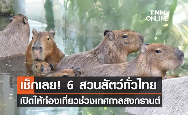 เช็กเลย! 6 ​สวนสัตว์ เปิดรับปชช.เที่ยวช่วงเทศกาลสงกรานต์ 65