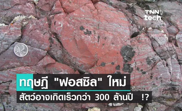 ทฤษฎี ฟอสซิล ใหม่ สิ่งมีชีวิตอาจเกิดเร็วกว่าที่คาดไว้ 300 ล้านปี  !?