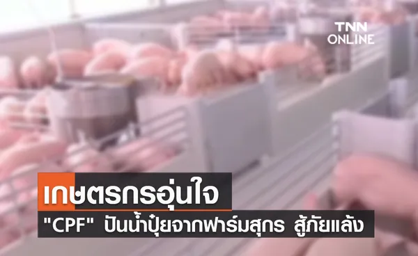 (คลิป) เกษตรกรอุ่นใจ CPF ปันน้ำปุ๋ยจากฟาร์มสุกร สู้ภัยแล้ง