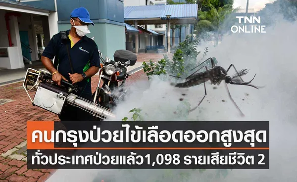 ปีนี้คนไทยป่วยไข้เลือดออกแล้ว 1,098 ราย เสียชีวิต 2 ราย กทม.ป่วยสูงสุด