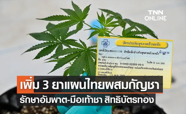 สปสช.เพิ่ม 3 ยาแผนไทยผสมกัญชา ในสิทธิบัตรทอง รักษาอัมพฤกษ์ อัมพาต-มือเท้าชา