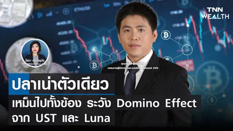 ปลาเน่าตัวเดียวเหม็นไปทั้งข้อง ระวัง Domino Effect จาก UST และ Luna