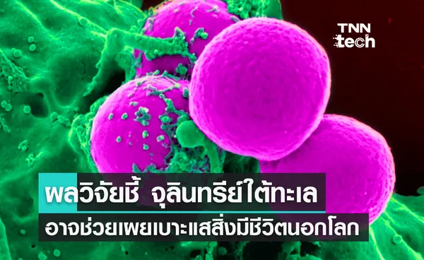 จุลินทรีย์ใต้ทะเล อาจช่วยเผยเบาะแสของสิ่งมีชีวิตนอกโลก