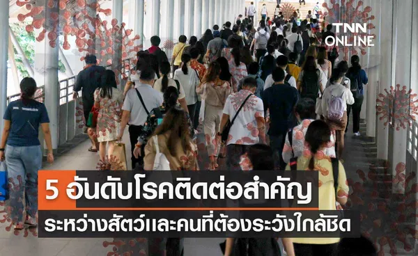 กรมควบคุมโรค เผย 5 อันดับโรคติดต่อสำคัญระหว่างสัตว์เเละคนที่ต้องเฝ้าระวังใกล้ชิด