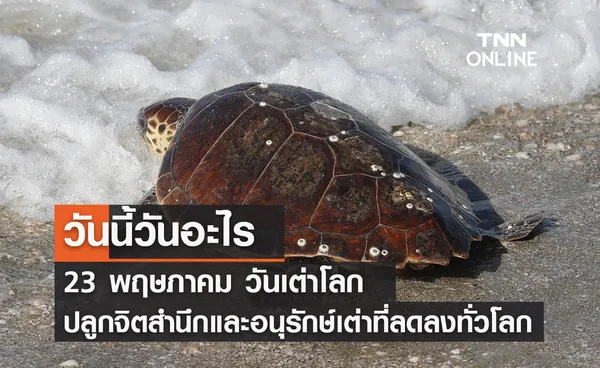 วันนี้วันอะไร วันเต่าโลก ตรงกับวันที่ 23 พฤษภาคม