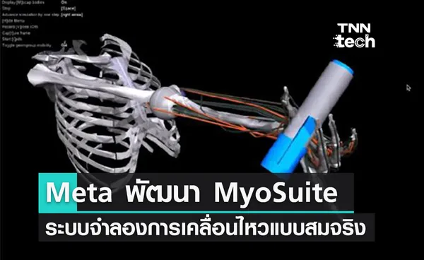 Meta พัฒนา 'MyoSuite' แพลตฟอร์มจำลองการเคลื่อนไหวของมนุษย์เสมือนจริง