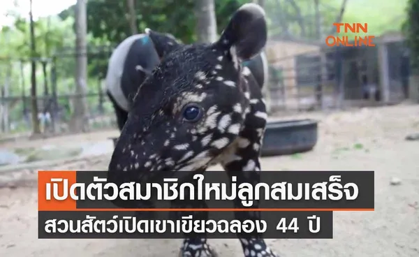 ฉลอง 44 ปี สวนสัตว์เปิดเขาเขียว เปิดตัวสมาชิกใหม่ ลูกสมเสร็จ